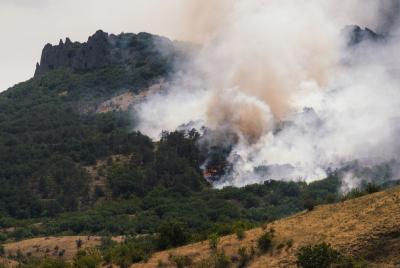 Прикрепленное изображение: scale_1200.jpg